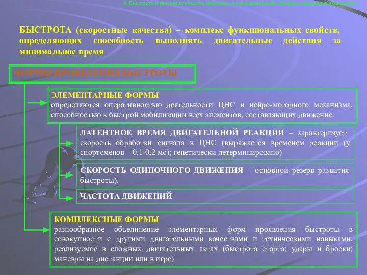 ФОРМЫ ПРОЯВЛЕНИЯ БЫСТРОТЫ ЭЛЕМЕНТАРНЫЕ ФОРМЫ определяются оперативностью деятельности ЦНС и нейро-моторного