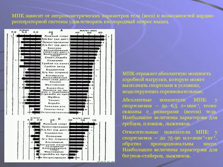 МПК зависит от антропометрических параметров тела (веса) и возможностей кардио-респираторной системы
