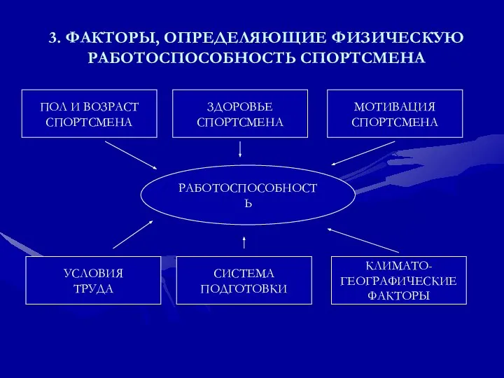 3. ФАКТОРЫ, ОПРЕДЕЛЯЮЩИЕ ФИЗИЧЕСКУЮ РАБОТОСПОСОБНОСТЬ СПОРТСМЕНА РАБОТОСПОСОБНОСТЬ ПОЛ И ВОЗРАСТ СПОРТСМЕНА