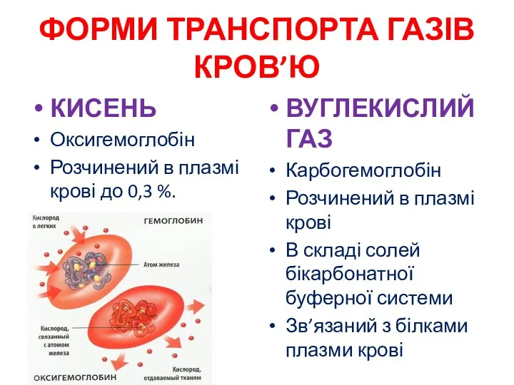 ФОРМИ ТРАНСПОРТА ГАЗІВ КРОВ’Ю КИСЕНЬ Оксигемоглобін Розчинений в плазмі крові до