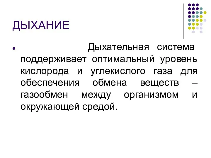 ДЫХАНИЕ Дыхательная система поддерживает оптимальный уровень кислорода и углекислого газа для