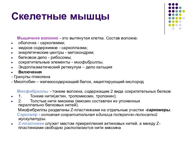 Скелетные мышцы Мышечное волокно - это вытянутая клетка. Состав волокна: оболочка