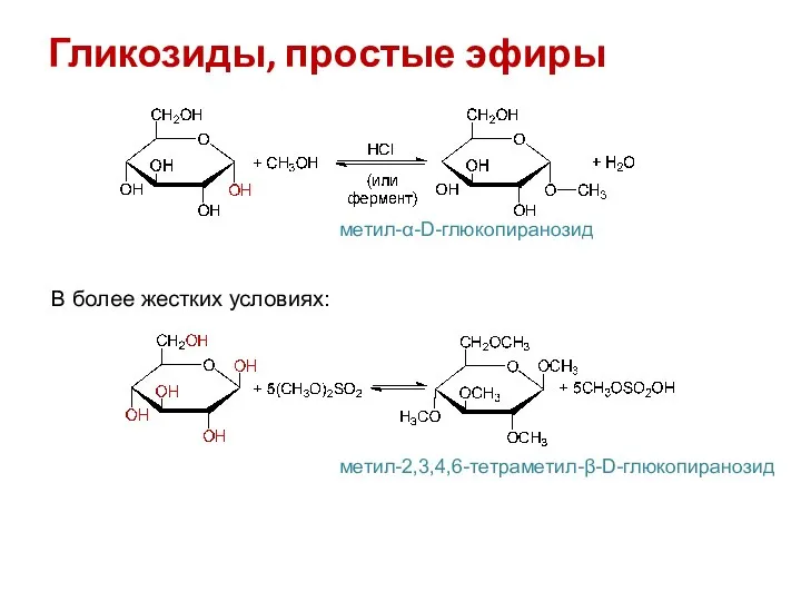Гликозиды, простые эфиры метил-α-D-глюкопиранозид В более жестких условиях: метил-2,3,4,6-тетраметил-β-D-глюкопиранозид