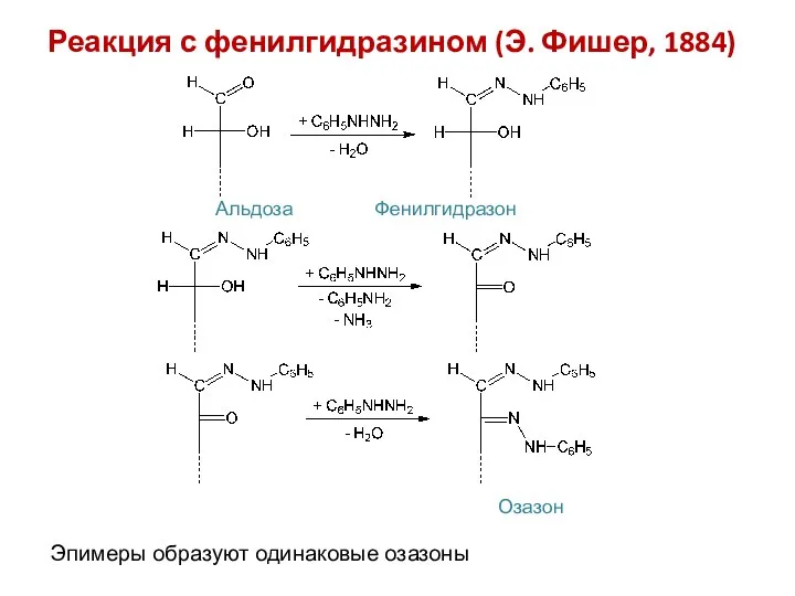 Реакция с фенилгидразином (Э. Фишер, 1884) Альдоза Фенилгидразон Эпимеры образуют одинаковые озазоны Озазон