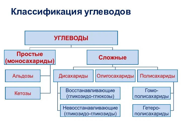 Классификация углеводов