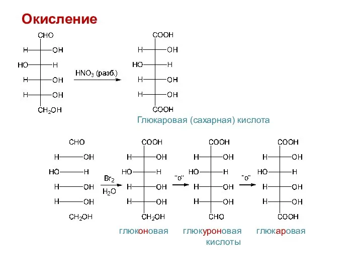 Окисление Глюкаровая (сахарная) кислота глюконовая глюкуроновая глюкаровая кислоты