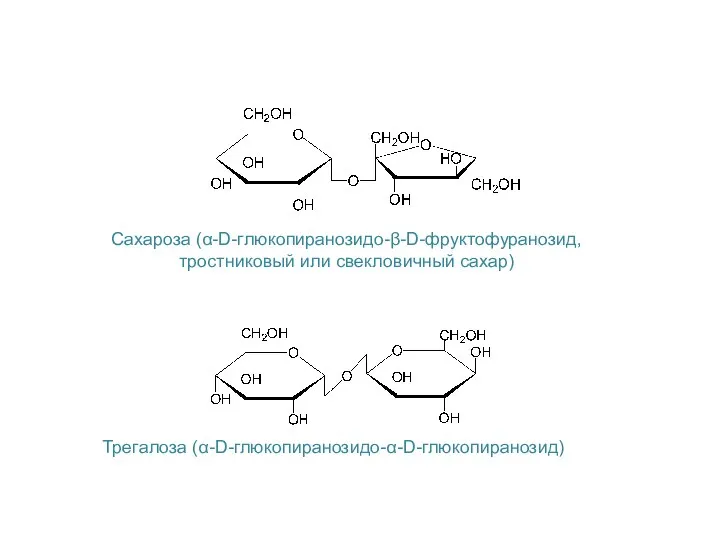 Сахароза (α-D-глюкопиранозидо-β-D-фруктофуранозид, тростниковый или свекловичный сахар) Трегалоза (α-D-глюкопиранозидо-α-D-глюкопиранозид)