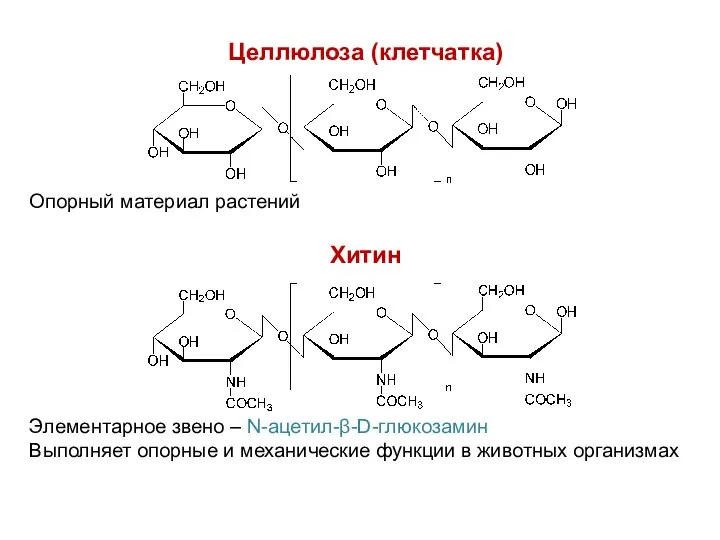 Целлюлоза (клетчатка) Хитин Элементарное звено – N-ацетил-β-D-глюкозамин Выполняет опорные и механические