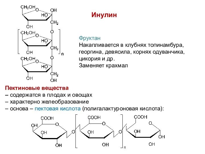 Инулин Фруктан Накапливается в клубнях топинамбура, георгина, девясила, корнях одуванчика, цикория