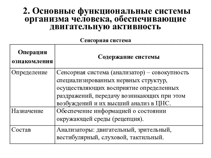 2. Основные функциональные системы организма человека, обеспечивающие двигательную активность Сенсорная система