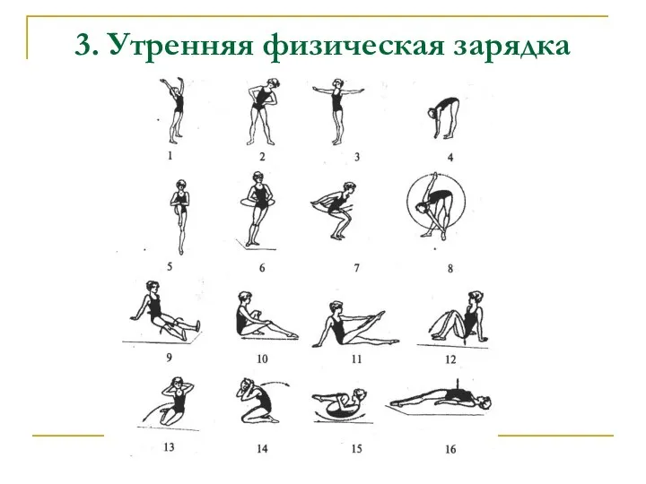 3. Утренняя физическая зарядка