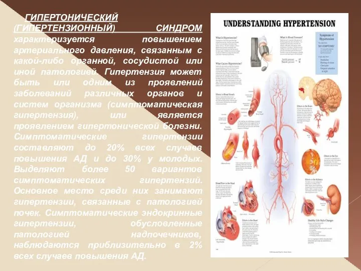 ГИПЕРТОНИЧЕСКИЙ (ГИПЕРТЕНЗИОННЫЙ) СИНДРОМ характеризуется повышением артериального давления, связанным с какой-либо органной,