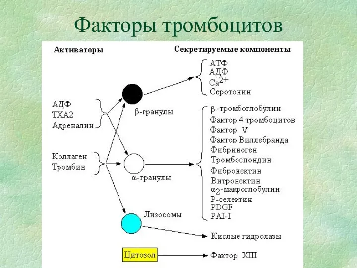 Факторы тромбоцитов