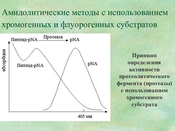 Амидолитические методы с использованием хромогенных и флуорогенных субстратов Принцип определения активности