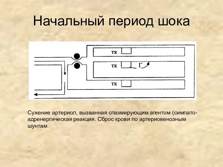 Начальный период шока Сужение артериол, вызванная спазмирующим агентом (симпато-адренергическая реакция. Сброс крови по артериовенозным шунтам