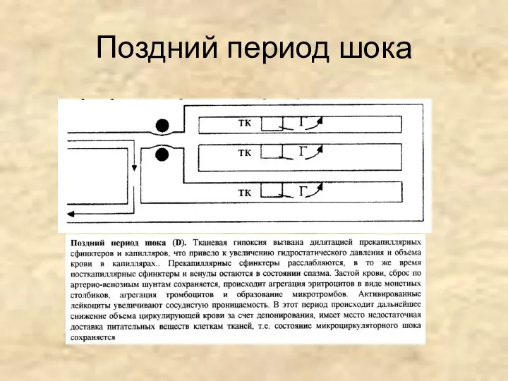 Поздний период шока