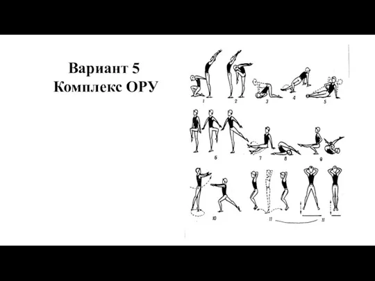 Вариант 5 Комплекс ОРУ