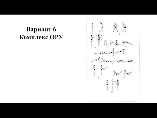 Вариант 6 Комплекс ОРУ