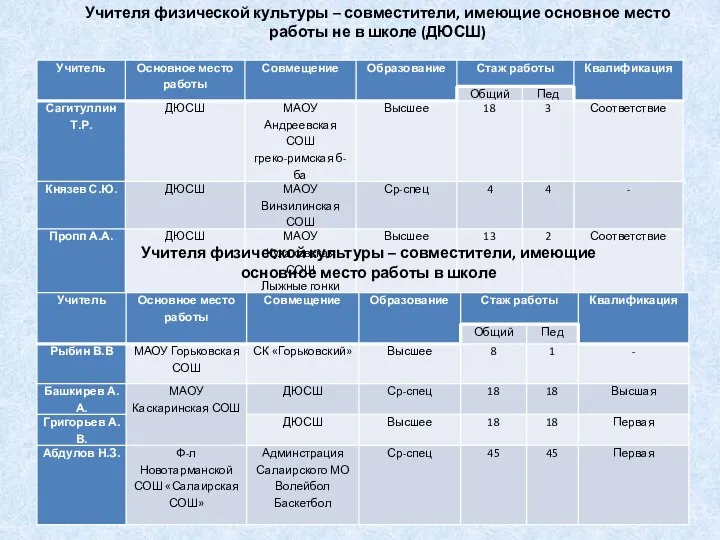 Учителя физической культуры – совместители, имеющие основное место работы не в