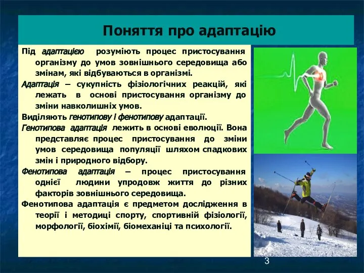 Поняття про адаптацію Під адаптацією розуміють процес пристосування організму до умов