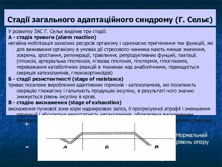 Стадії загального адаптаційного синдрому (Г. Сельє) У розвитку ЗАС Г. Сельє