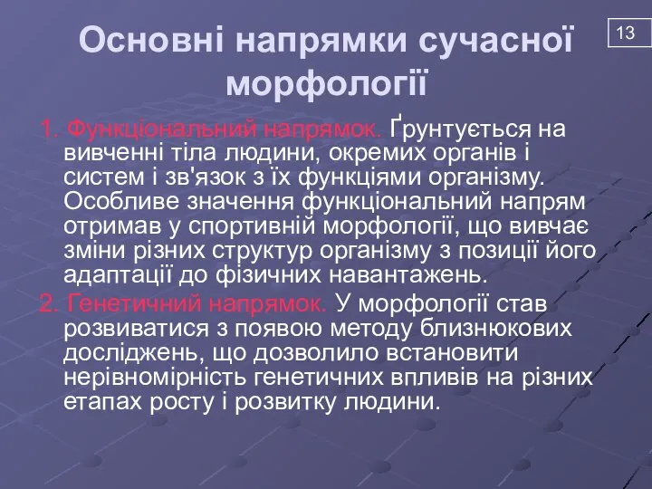 Основні напрямки сучасної морфології 1. Функціональний напрямок. Ґрунтується на вивченні тіла