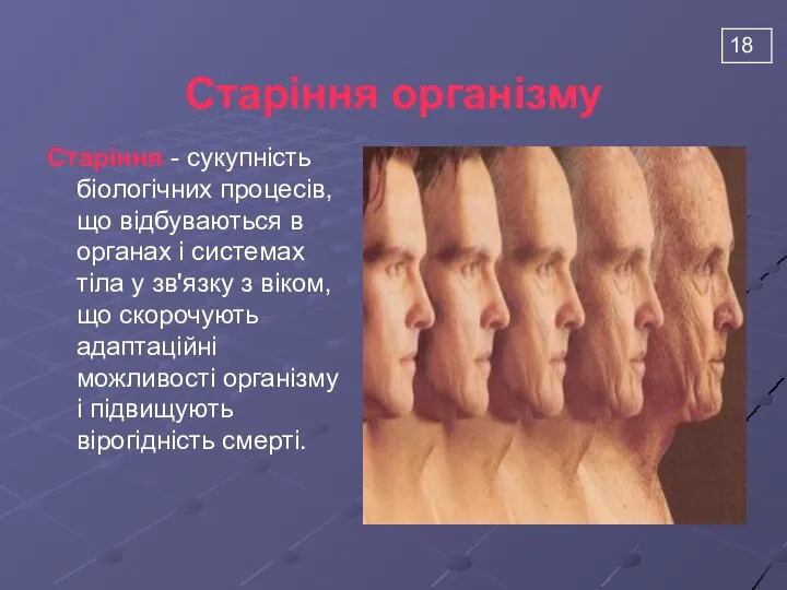 Старіння організму Старіння - сукупність біологічних процесів, що відбуваються в органах