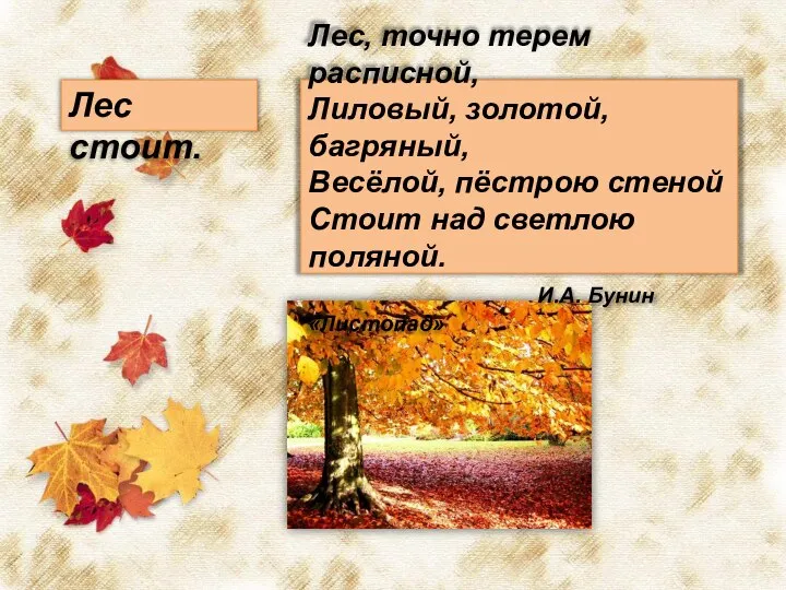 Лес, точно терем расписной, Лиловый, золотой, багряный, Весёлой, пёстрою стеной Стоит