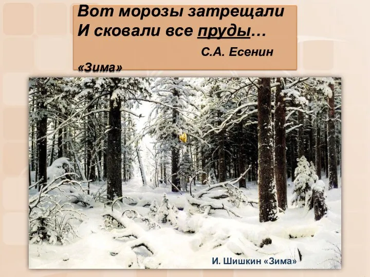 Вот морозы затрещали И сковали все пруды… С.А. Есенин «Зима» Вот