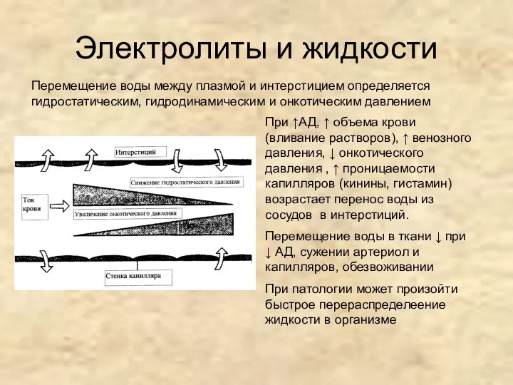 Электролиты и жидкости Перемещение воды между плазмой и интерстицием определяется гидростатическим,