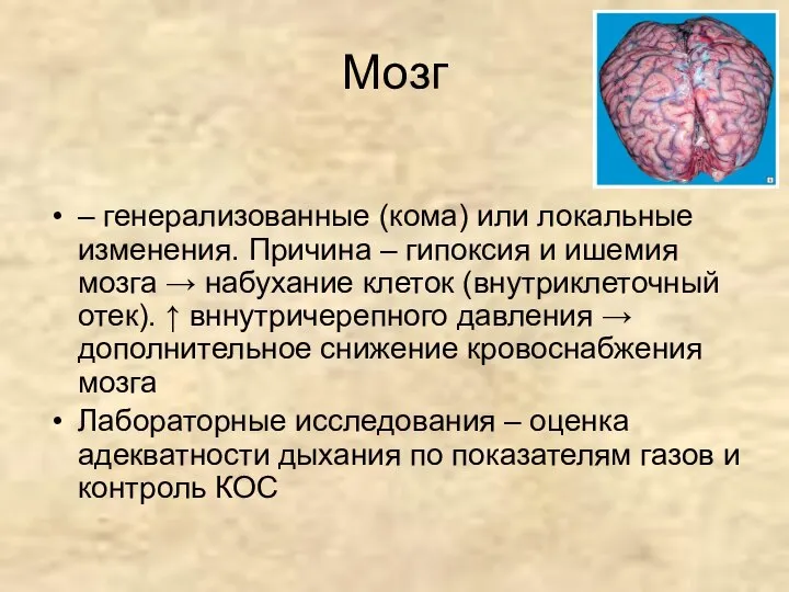 Мозг – генерализованные (кома) или локальные изменения. Причина – гипоксия и