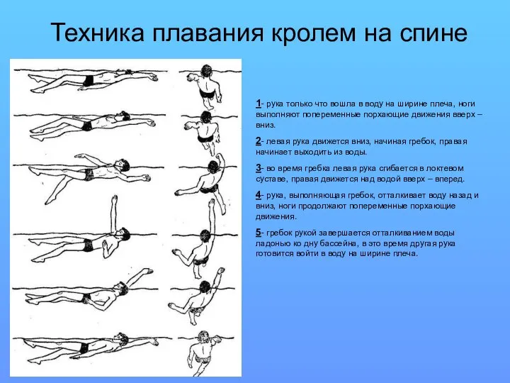 Техника плавания кролем на спине 1- рука только что вошла в