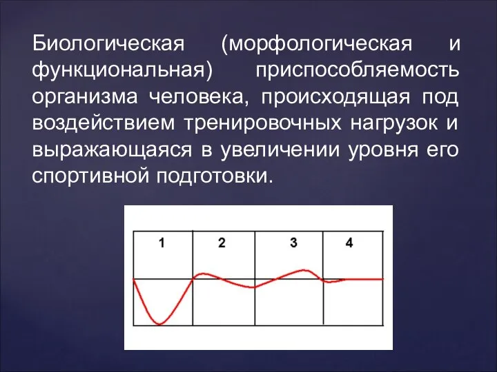 Биологическая (морфологическая и функциональная) приспособляемость организма человека, происходящая под воздействием тренировочных