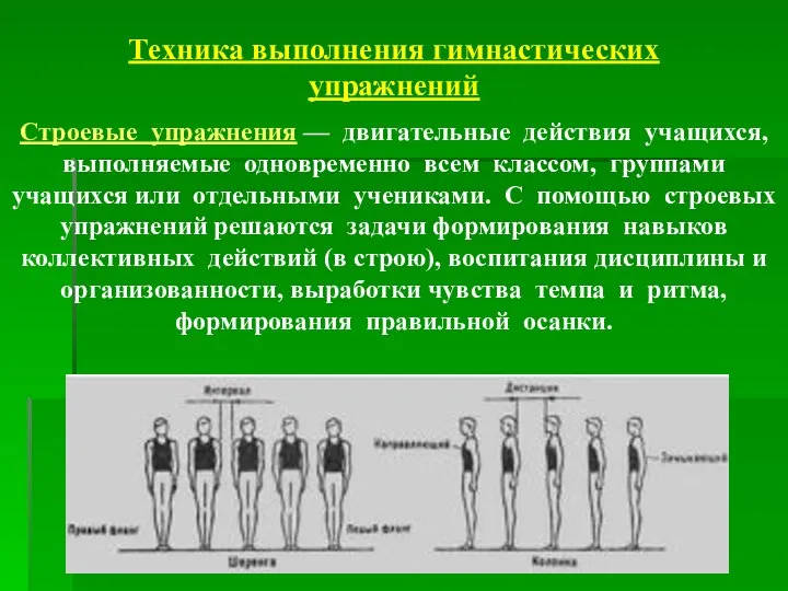 Строевые упражнения — двигательные действия учащихся, выполняемые одновременно всем классом, группами