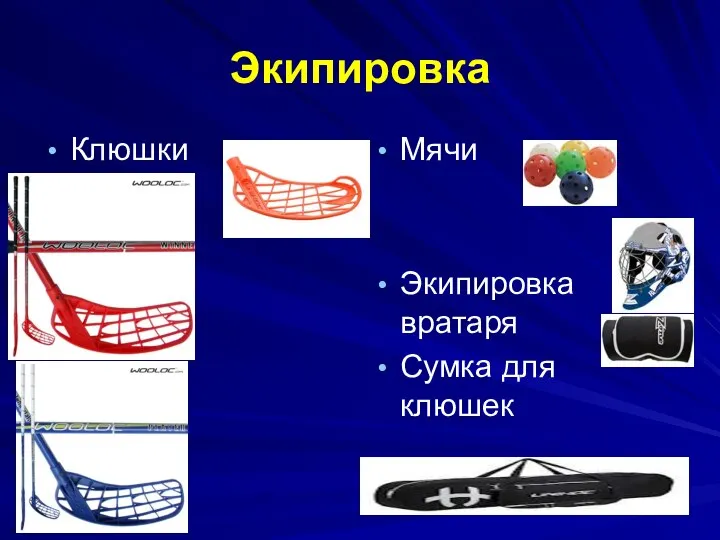 Экипировка Клюшки Мячи Экипировка вратаря Сумка для клюшек