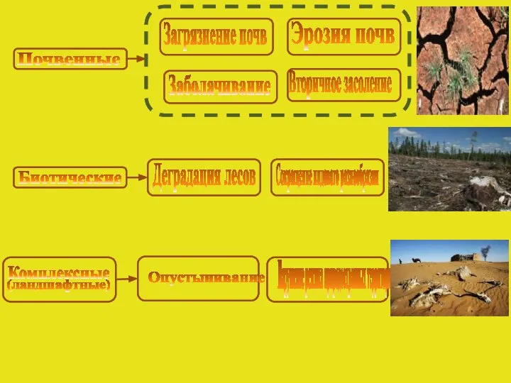 Почвенные Загрязнение почв Эрозия почв Заболачивание Вторичное засоление Биотические Деградация лесов