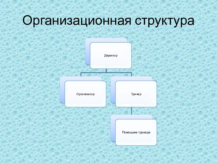 Организационная структура