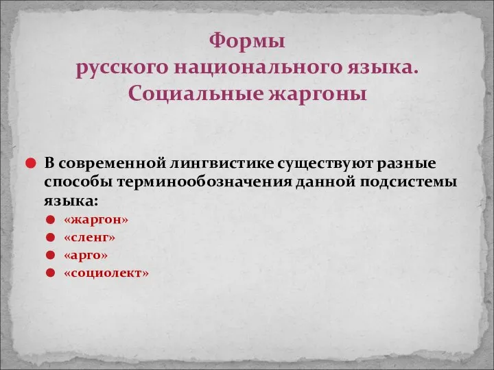 В современной лингвистике существуют разные способы терминообозначения данной подсистемы языка: «жаргон»