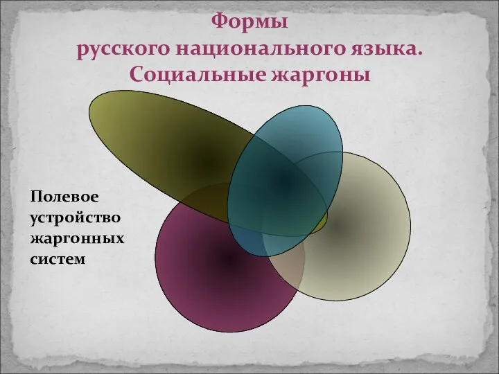 Полевое устройство жаргонных систем Формы русского национального языка. Социальные жаргоны