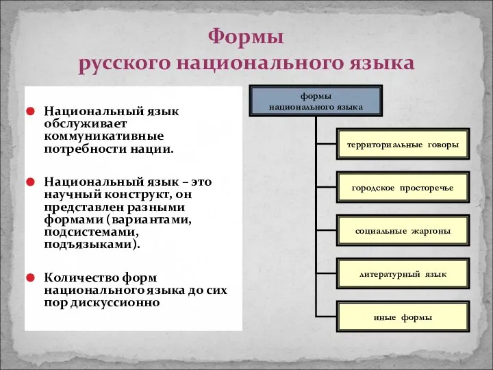 Формы русского национального языка Национальный язык обслуживает коммуникативные потребности нации. Национальный