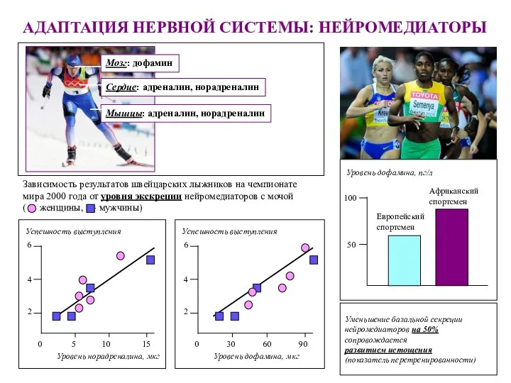 АДАПТАЦИЯ НЕРВНОЙ СИСТЕМЫ: НЕЙРОМЕДИАТОРЫ Мозг: дофамин Сердце: адреналин, норадреналин Мышцы: адреналин,