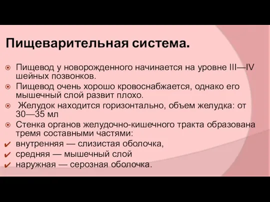 Пищеварительная система. Пищевод у новорожденного начинается на уровне III—IV шейных позвонков.