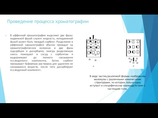 Проведение процесса хроматографии В аффинной хроматографии выделяют две фазы: подвижной фазой