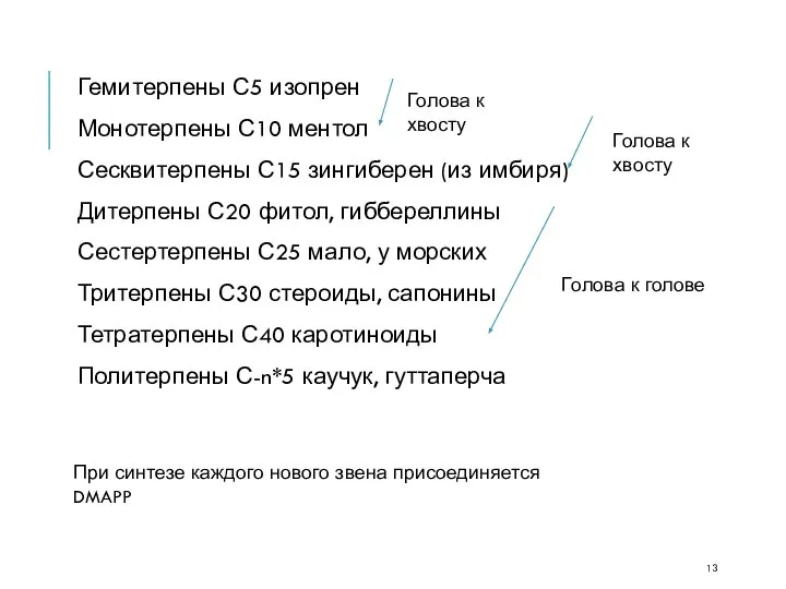 Гемитерпены С5 изопрен Монотерпены С10 ментол Сесквитерпены С15 зингиберен (из имбиря)