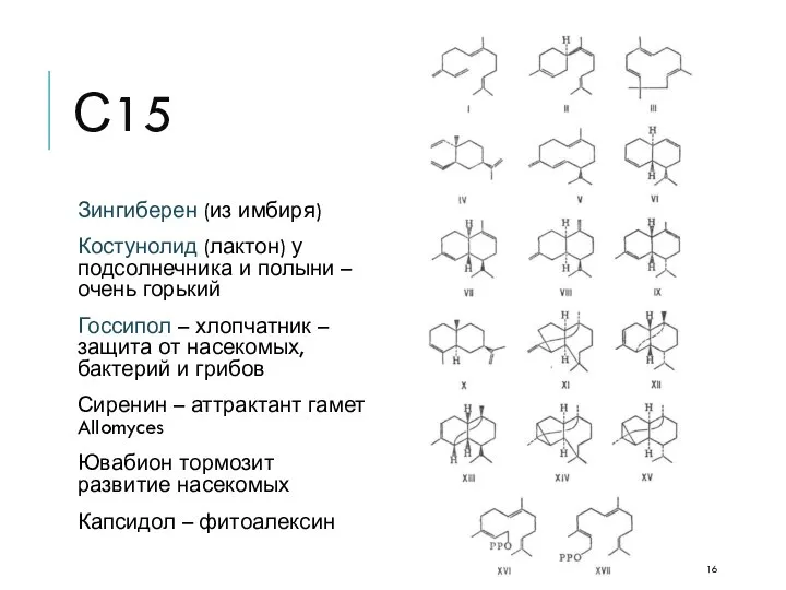 С15 Зингиберен (из имбиря) Костунолид (лактон) у подсолнечника и полыни –