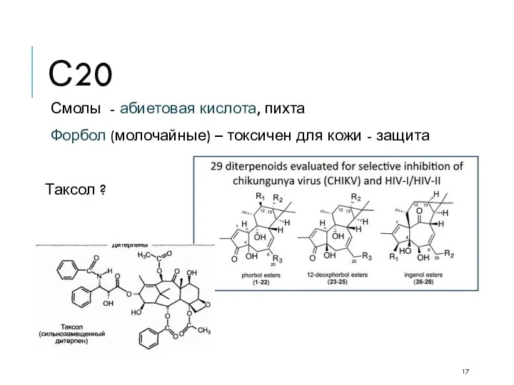 С20 Смолы - абиетовая кислота, пихта Форбол (молочайные) – токсичен для кожи - защита Таксол ?