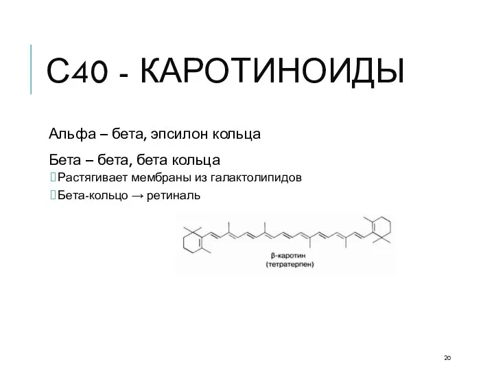 С40 - КАРОТИНОИДЫ Альфа – бета, эпсилон кольца Бета – бета,