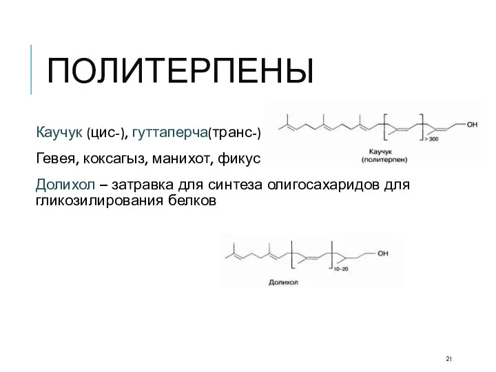 ПОЛИТЕРПЕНЫ Каучук (цис-), гуттаперча(транс-) Гевея, коксагыз, манихот, фикус Долихол – затравка