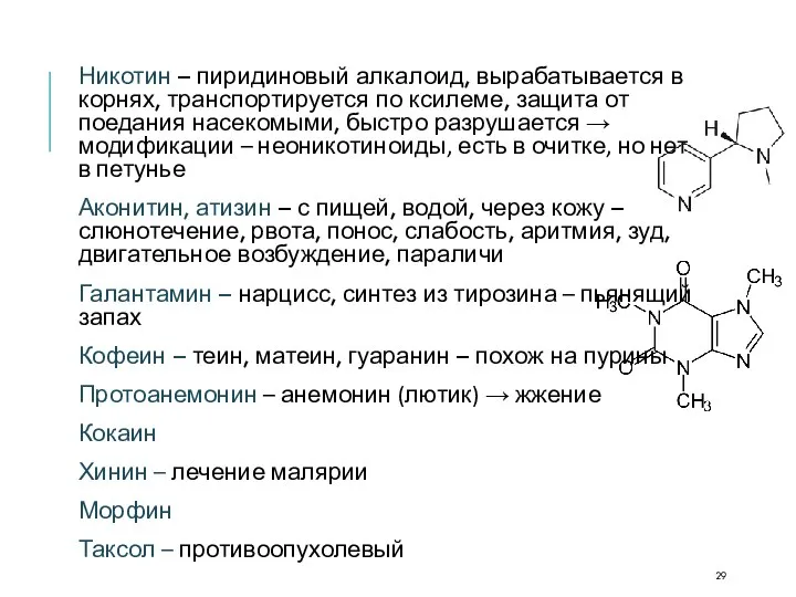 Никотин – пиридиновый алкалоид, вырабатывается в корнях, транспортируется по ксилеме, защита