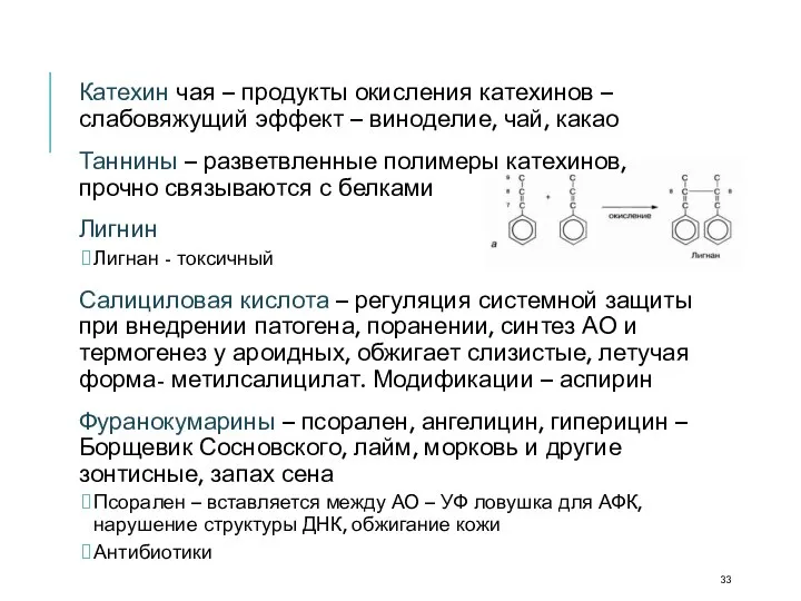 Катехин чая – продукты окисления катехинов – слабовяжущий эффект – виноделие,